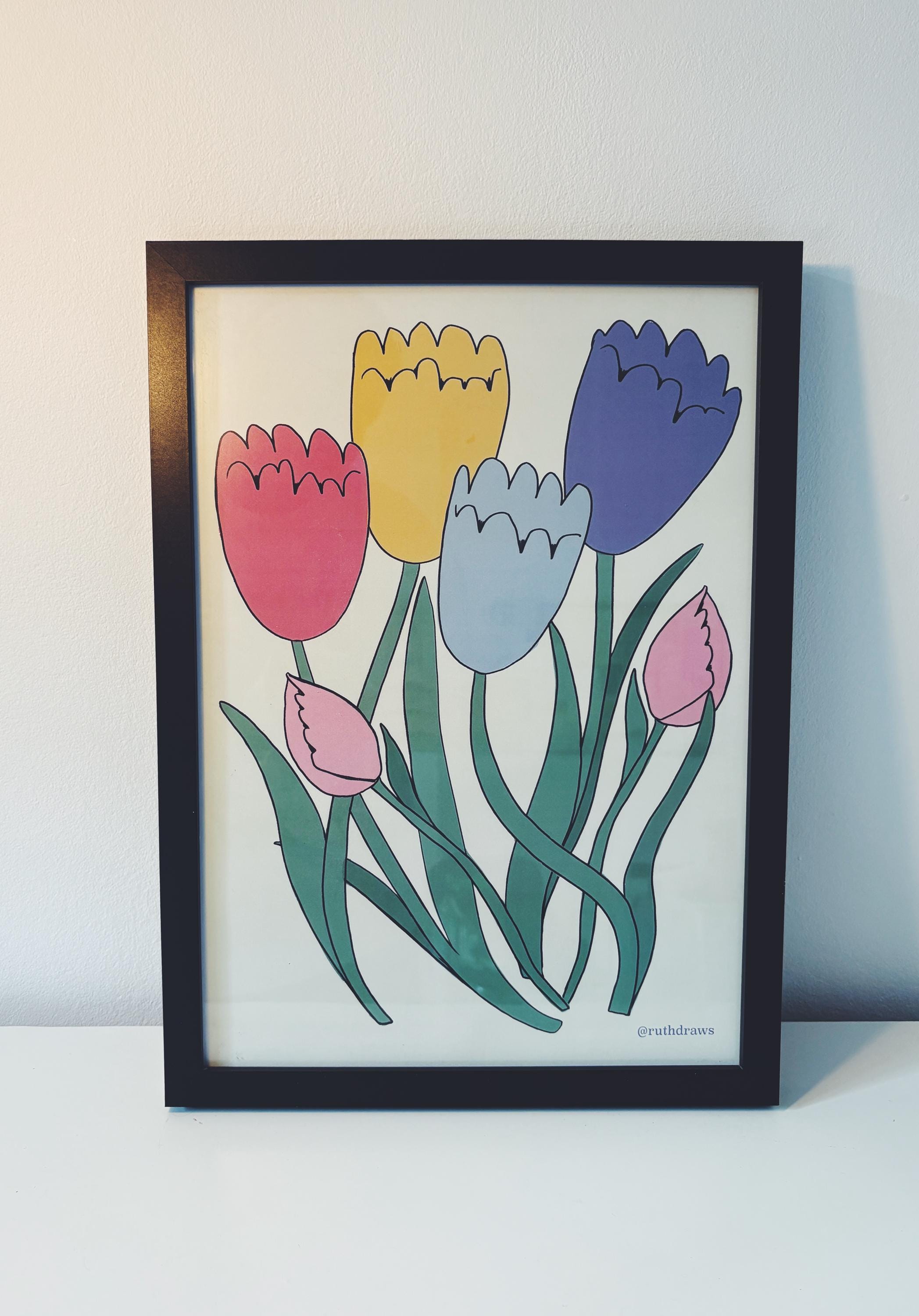 Tulip Illustration